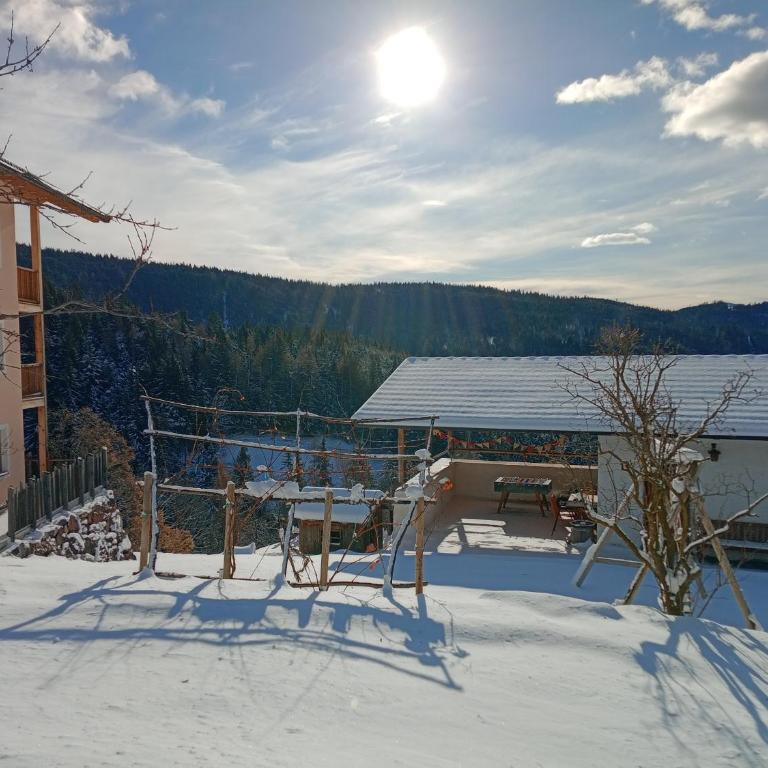 Spitalerhof Apartment & Sauna - Appartement 1 Chambre - 26