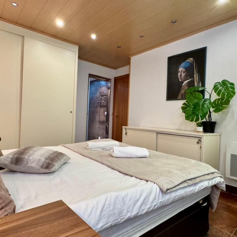 Exception Ski Émerveillement - Apartamento de 2 dormitorios - 8