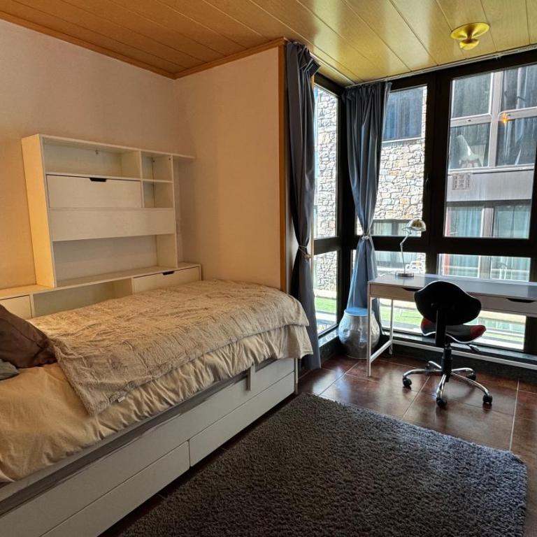Exception Ski Émerveillement - Apartamento de 2 dormitorios - 27