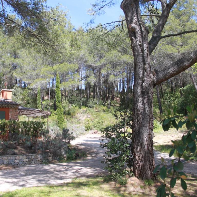 La Petite Yolande - Casa de 2 dormitorios - 18
