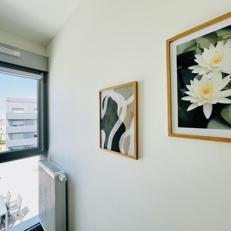 Casa Botanica : Rooftop 2 - Appartement Supérieur - 17