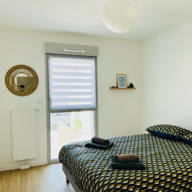 Casa Botanica : Rooftop 2 - Appartement Supérieur - 21