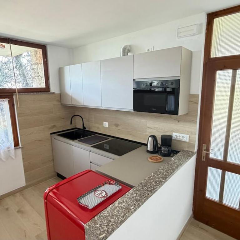 Garden Apartment with lake view - Appartamento con Terrazza - 25