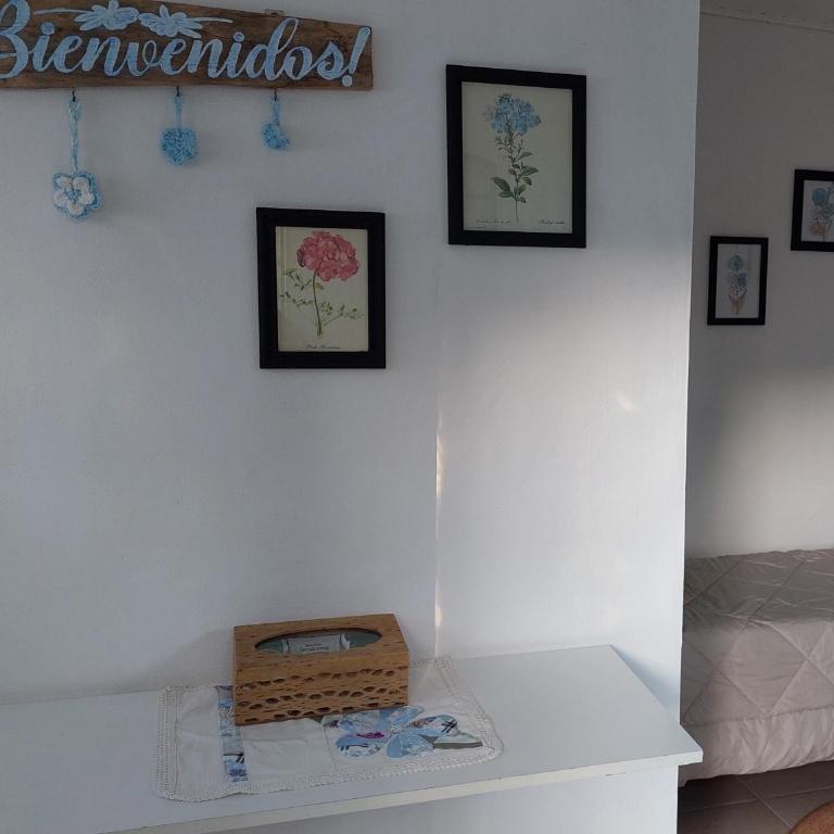 Jazmín del cielo Monoambiente independiente interno - One-Bedroom Apartment - 45