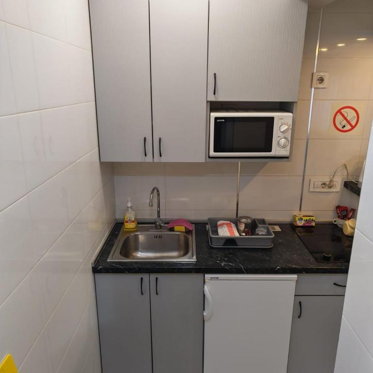 Andrea - One-Bedroom Apartment - 4