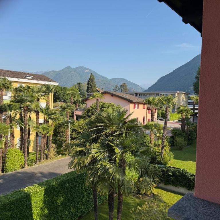 Ferien Paradies - Appartamento con 1 Camera da letto con Vista Parco - 13