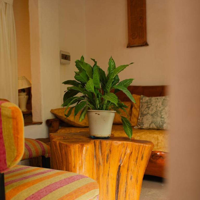 Cabañas La Cumbrecita Waldhuetten SC - One-Bedroom Apartment - 9