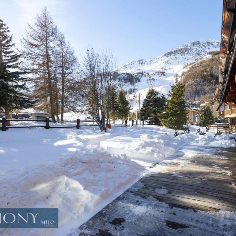 Edelweiss rustique suite of the Daphnes chalet - Appartement - 1