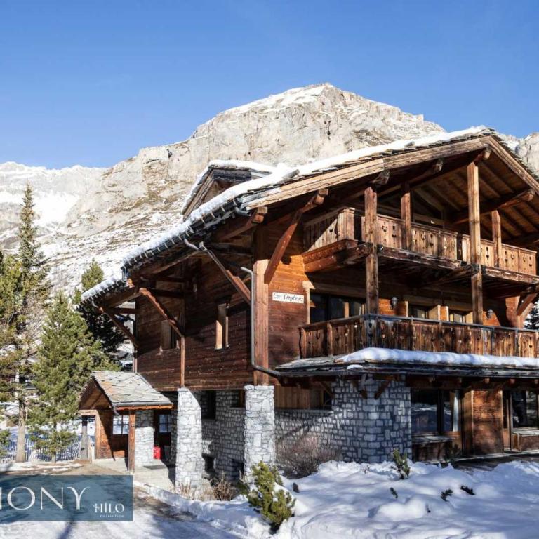 Edelweiss rustique suite of the Daphnes chalet - Appartement - 3