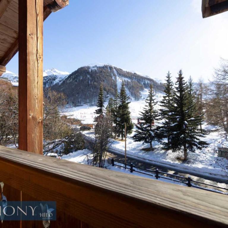 Edelweiss rustique suite of the Daphnes chalet - Appartement - 4