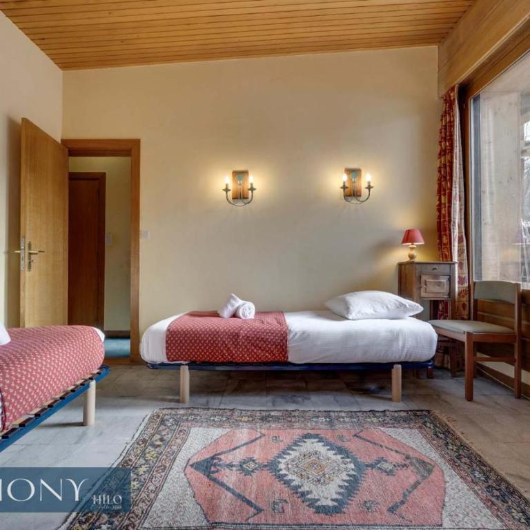 Genepi rustique suite of the Daphnes chalet - Appartement - 17