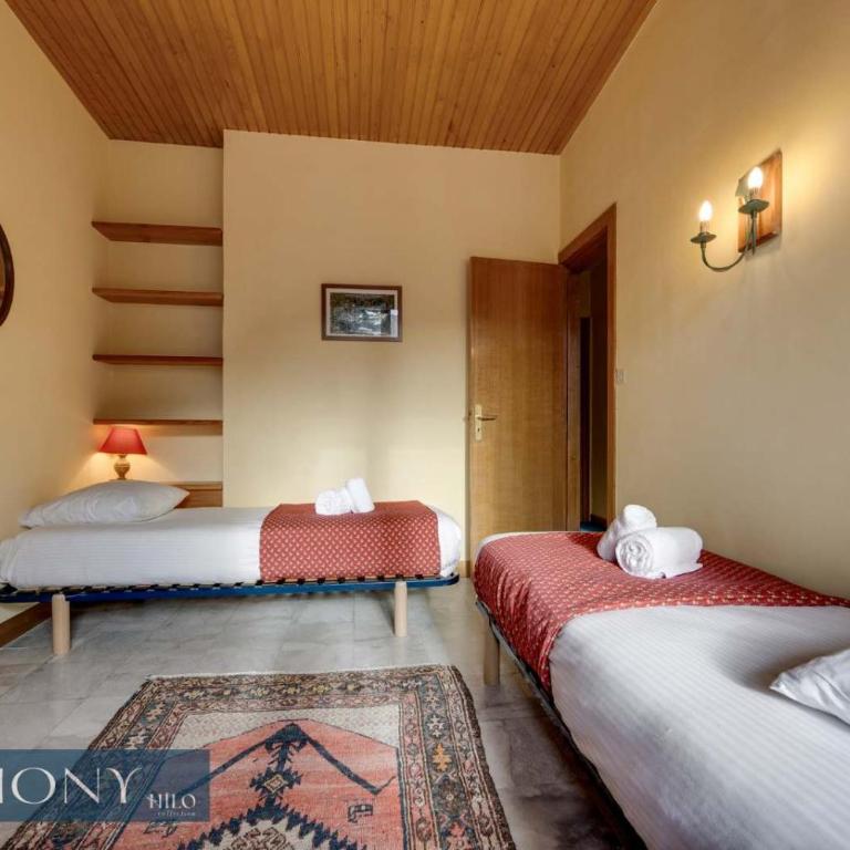 Genepi rustique suite of the Daphnes chalet - Appartement - 18