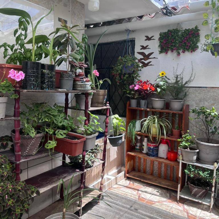 Refugio Mujer Dormida - Apartamento de 1 dormitorio - 1