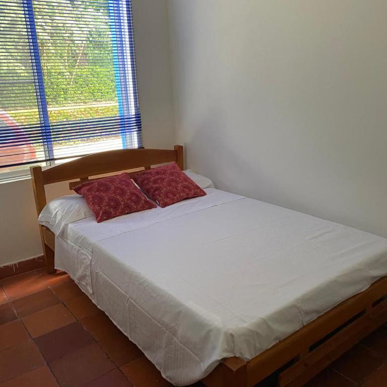 Carmen de Apicalá casa de descanso - Four-Bedroom House - 17