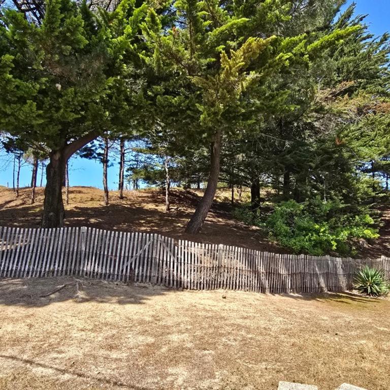 Charmant T2 RDC avec cour, proches commerces et plage, parking et animaux admis - FR-1-777-26 - Apartamento - 6