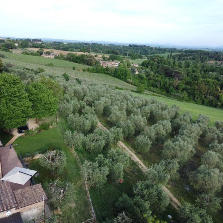 Agriturismo panoramico a Siena Al Chiaro di Luna - Apartment - Ground Floor - 6