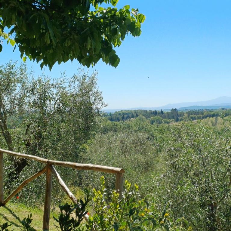 Agriturismo panoramico a Siena Al Chiaro di Luna - Apartment - Ground Floor - 31