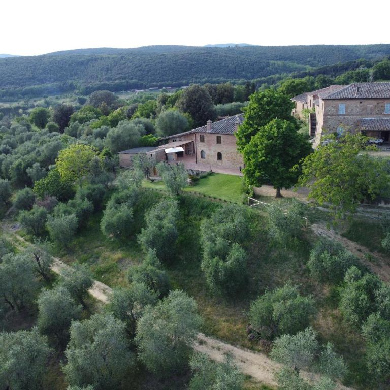 Agriturismo panoramico a Siena Al Chiaro di Luna - Apartment - Ground Floor - 1