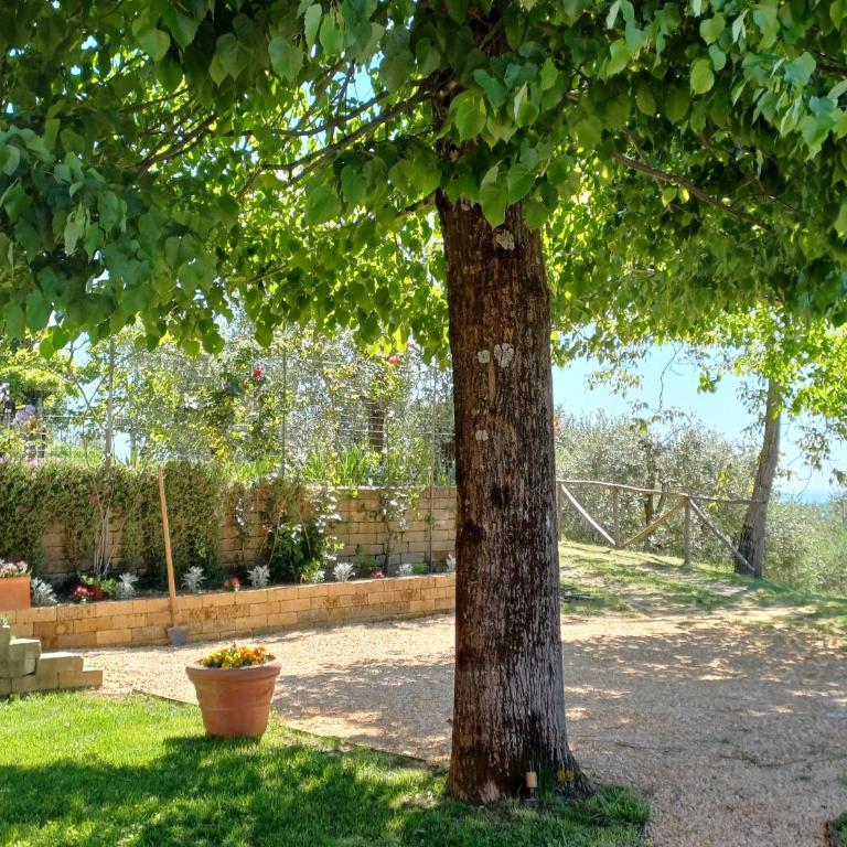 Agriturismo panoramico a Siena Al Chiaro di Luna - Apartment - Ground Floor - 33