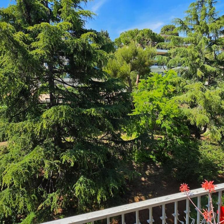 Appartement lumineux balcon vue mer - Appartement 1 Chambre - 7