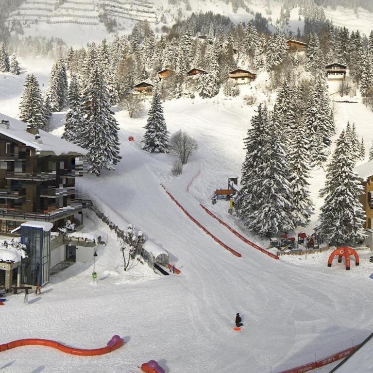 Ski-in Apartment in Anzere - Studio-Apartment - 7