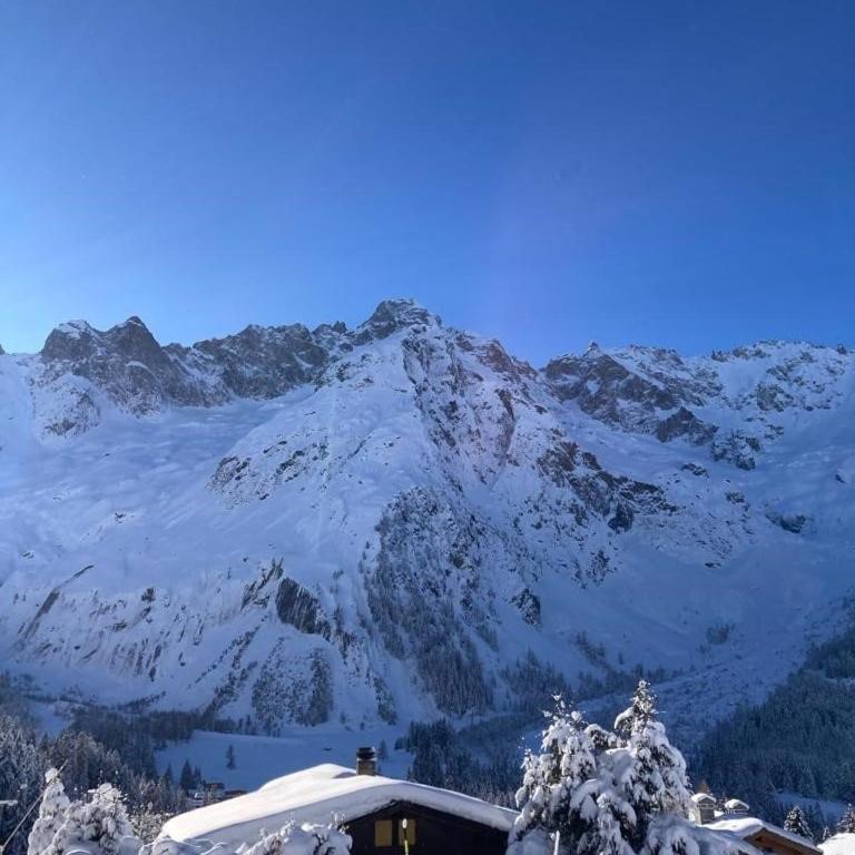 La Combe Verte Chalet - Chalet - 4