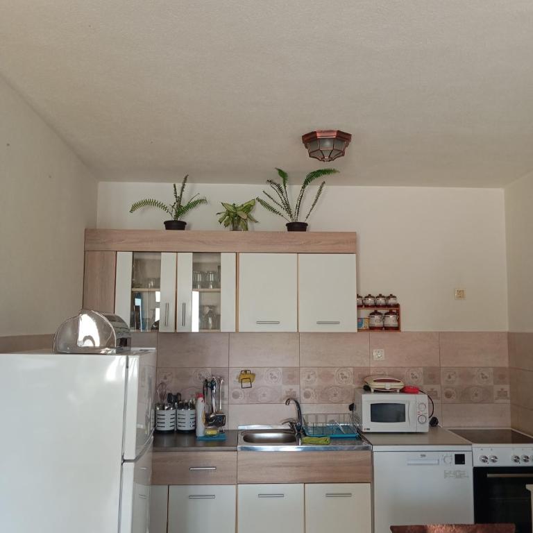 Vila Rogač - Villa with Private Pool - 11