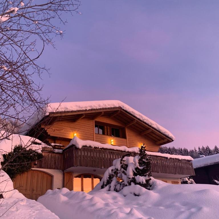 Chalet les Marmottes - Chalet - 2