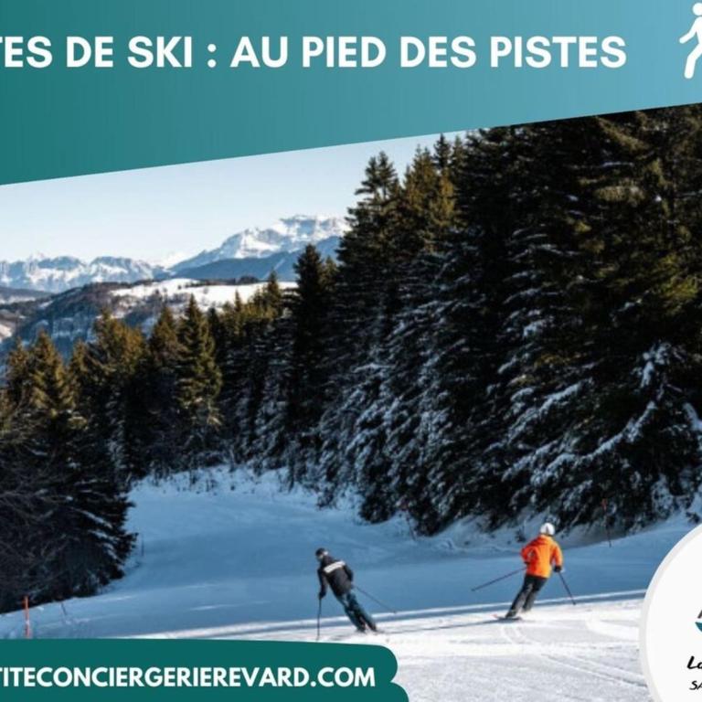 Chaleureux studio au pied des pistes - Le refuge - Apartment mit 1 Schlafzimmer - 17