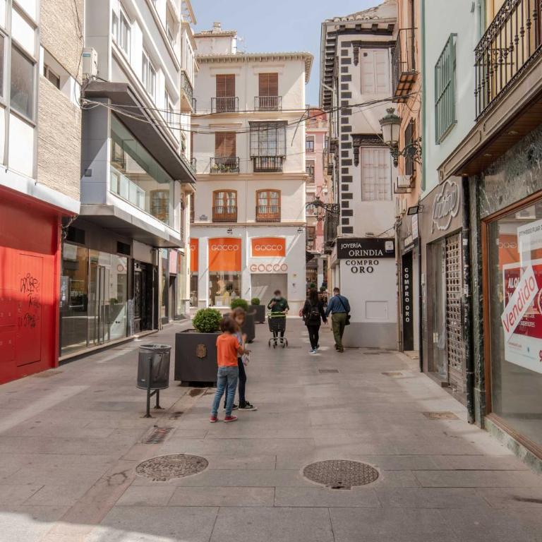 Beautiful Granada Center Apartment - Two-Bedroom Apartment - 14