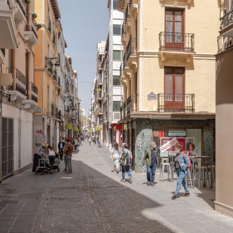 Beautiful Granada Center Apartment - Two-Bedroom Apartment - 37