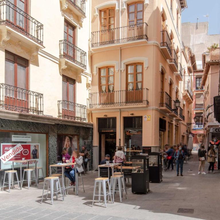 Beautiful Granada Center Apartment - Two-Bedroom Apartment - 65