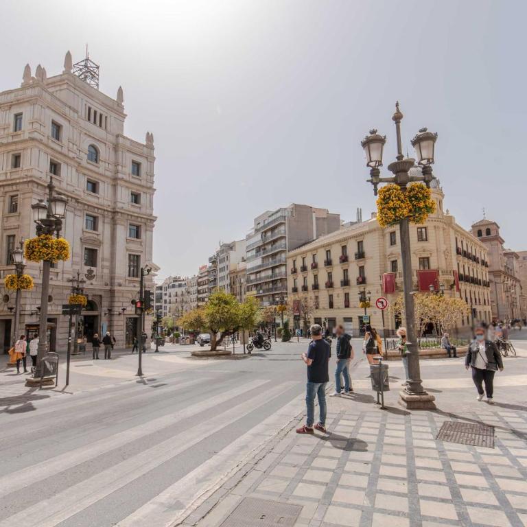 Beautiful Granada Center Apartment - Two-Bedroom Apartment - 84