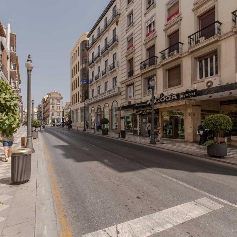 Beautiful Granada Center Apartment - Two-Bedroom Apartment - 85
