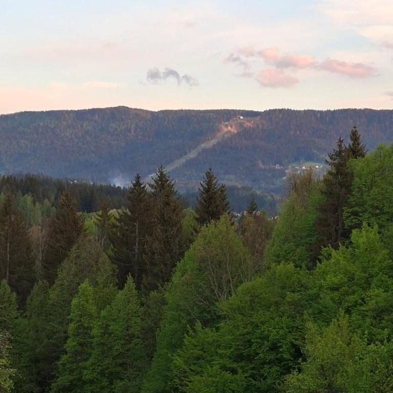 Forest Escape - Villa - 7