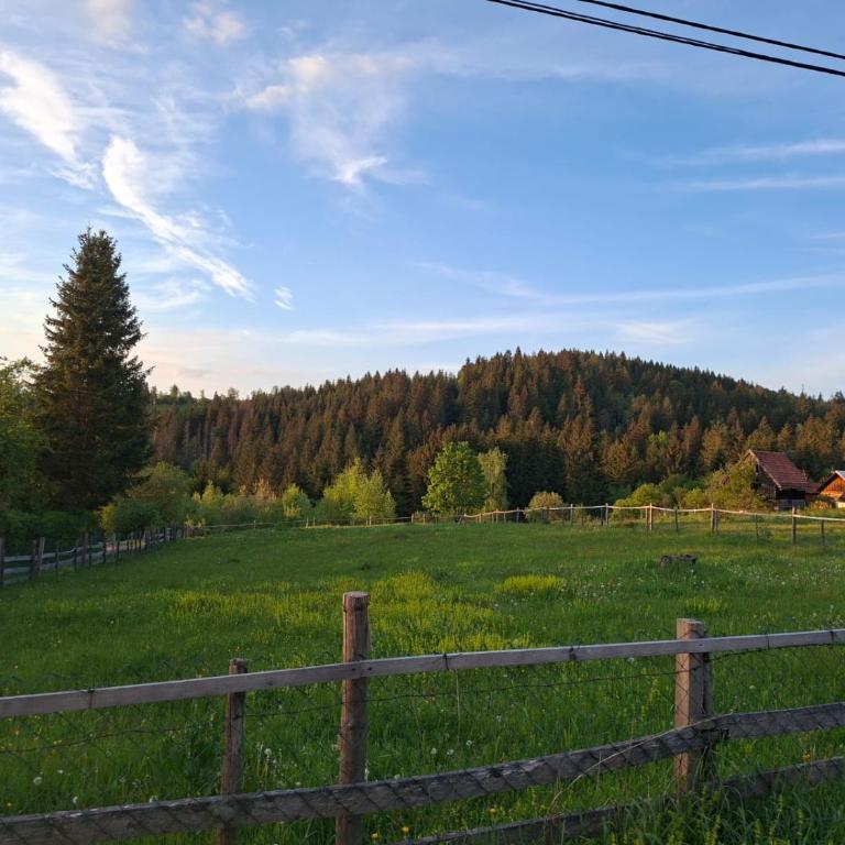 Forest Escape - Villa - 5