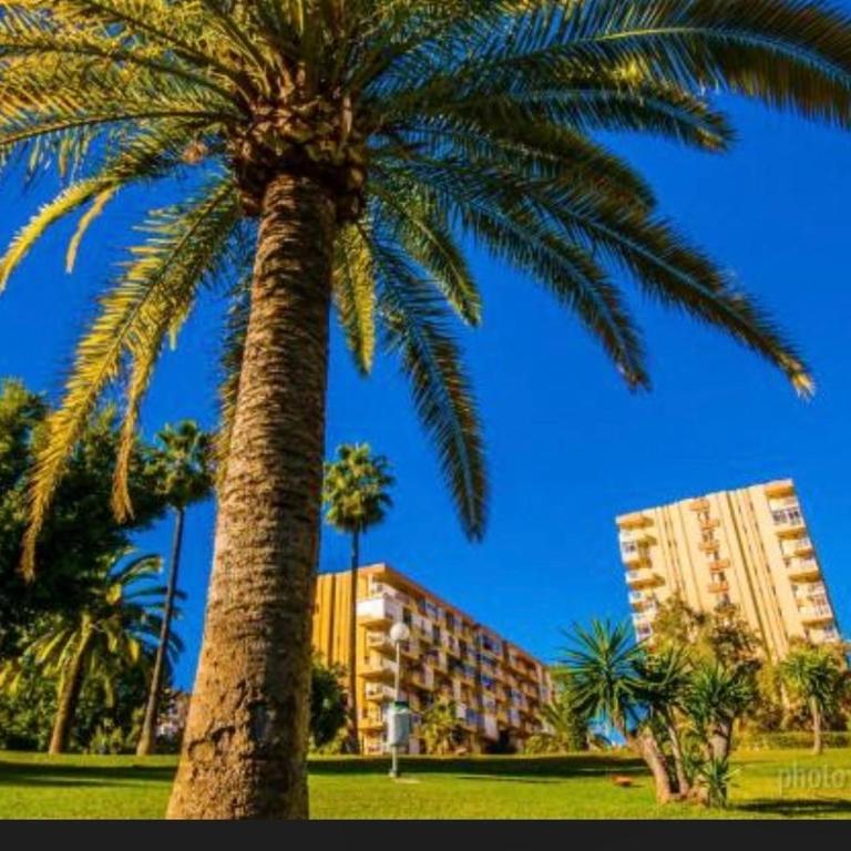 Minerva Beach Studio - Appartement 1 Chambre - 2