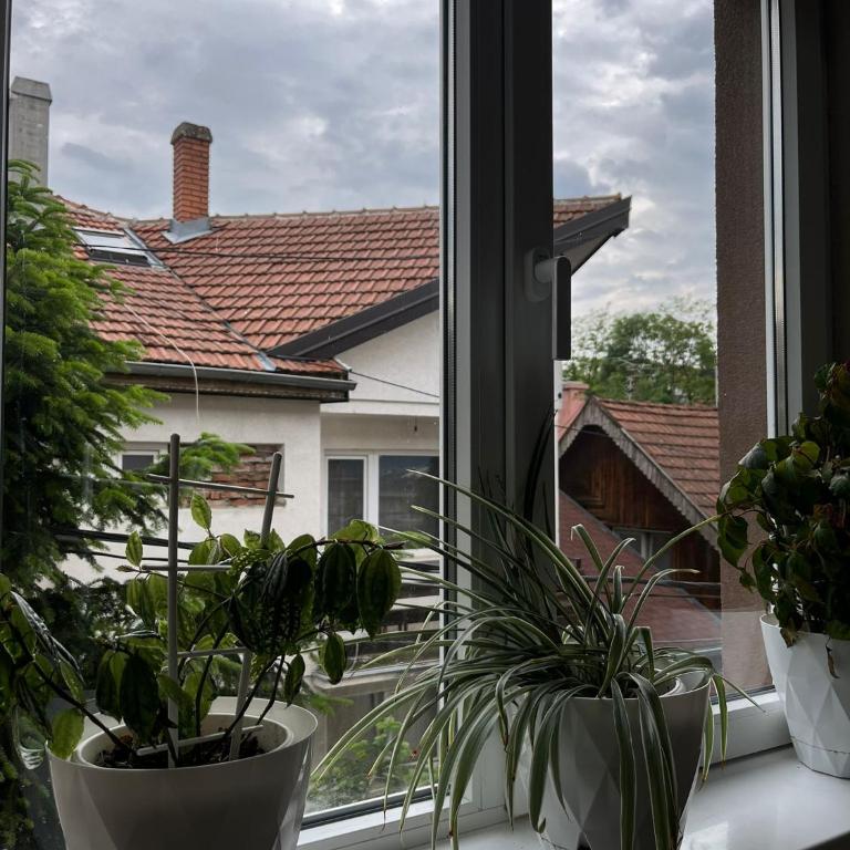 Studio Apartman - Studio - 7
