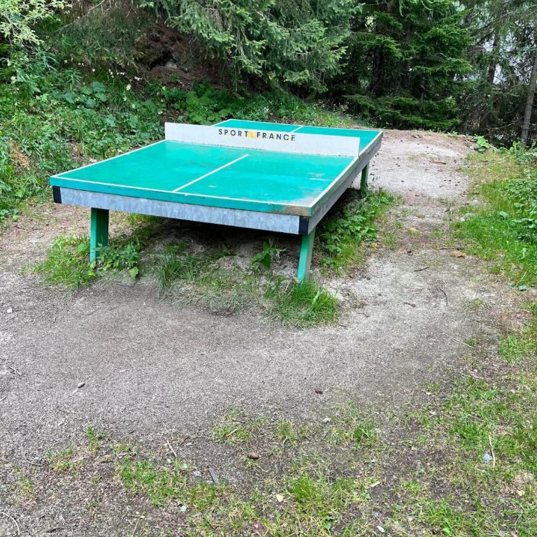 Duplex rénové, 10 couchages, piscine et sauna - Apartment - 54