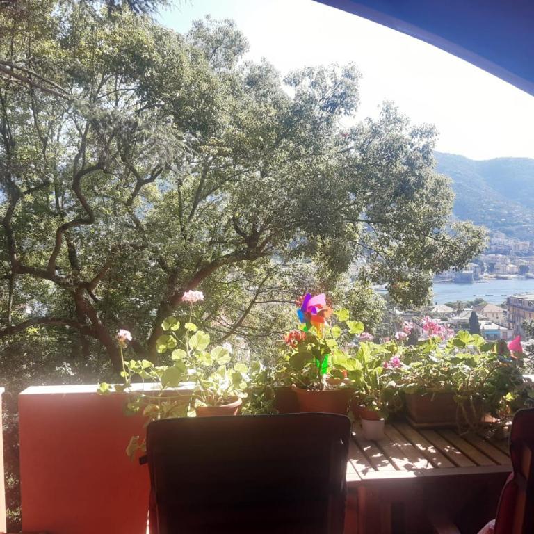 Il Mare tra gli Alberi by PortofinoVacanze - Appartamento con 1 Camera da Letto - 20