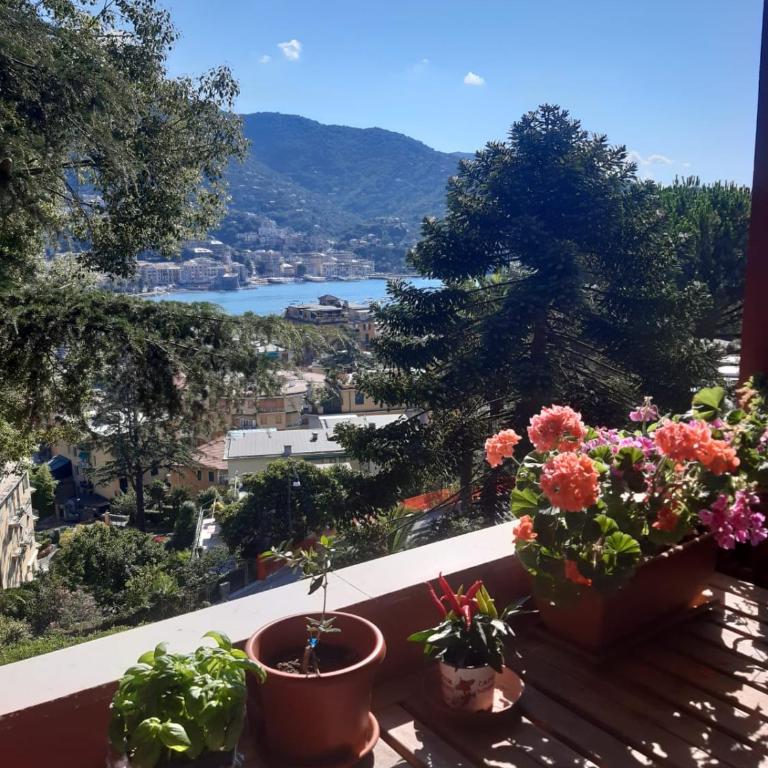 Il Mare tra gli Alberi by PortofinoVacanze - Appartamento con 1 Camera da Letto - 2