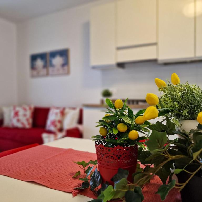 Charming three room apartment - Appartamento - 17
