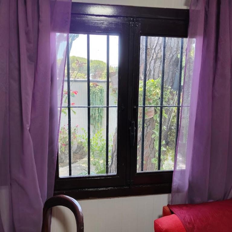 Bungalow para quienes buscan tranquilidad - Bungalow avec Terrasse - 9