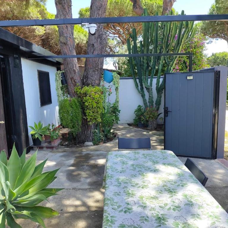 Bungalow para quienes buscan tranquilidad - Bungalow avec Terrasse - 11