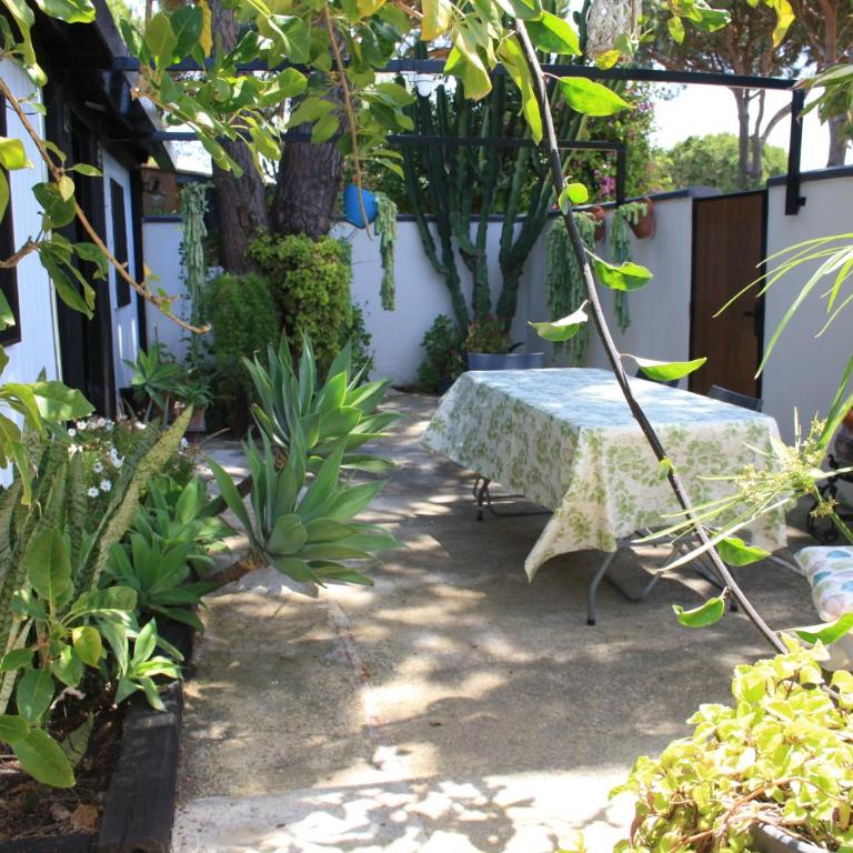 Bungalow para quienes buscan tranquilidad - Bungalow avec Terrasse - 1