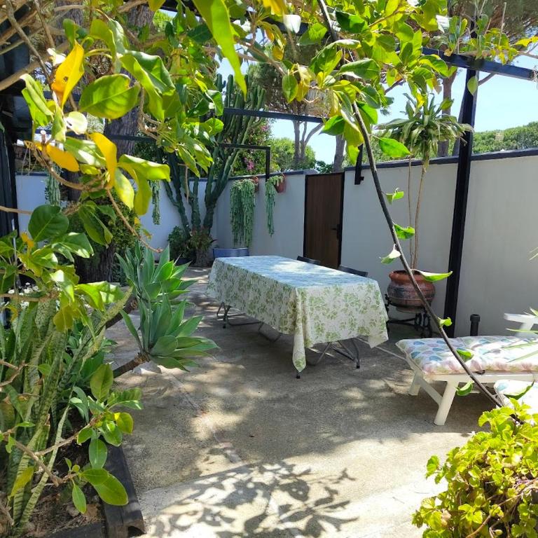 Bungalow para quienes buscan tranquilidad - Bungalow avec Terrasse - 13