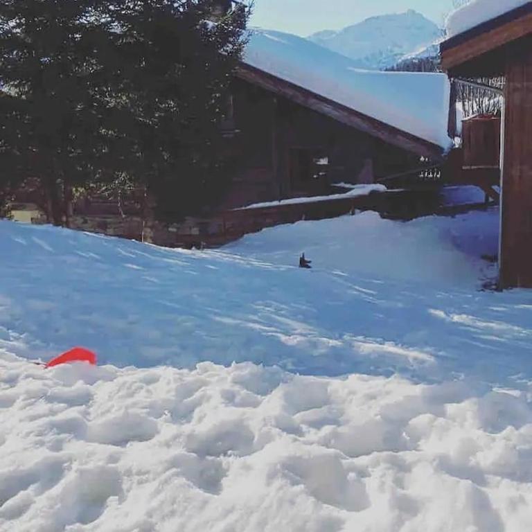 Au calme à 2 pas des pistes - Appartamento con 1 Camera da Letto - 9