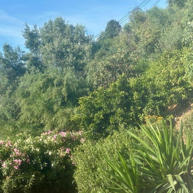 Villa Azahara Private Oasis with Sea Views & Private Pool - Villa with Private Pool - 30