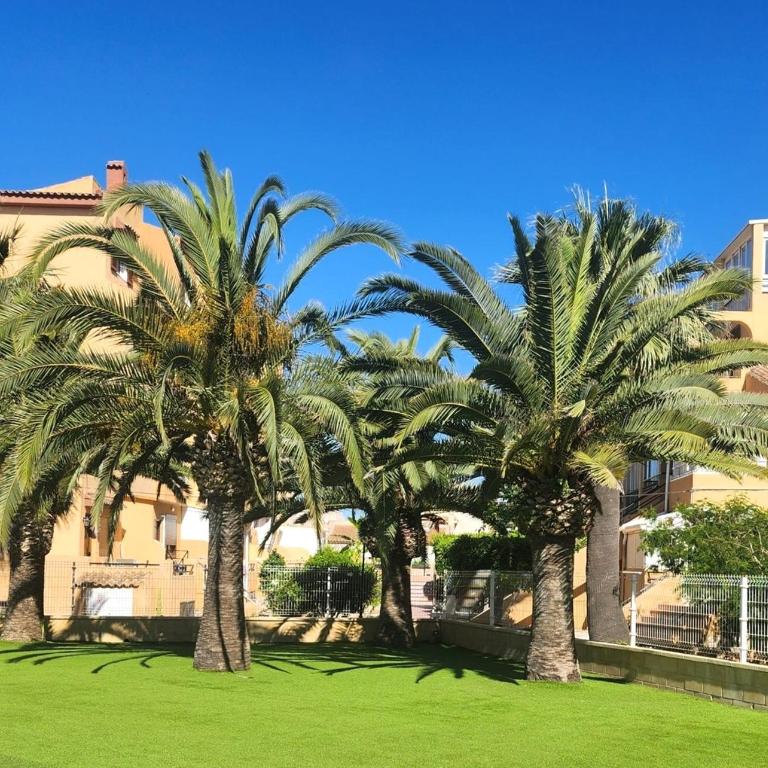 Apartamento Paradise La Mata - Appartement 2 Chambres - 25