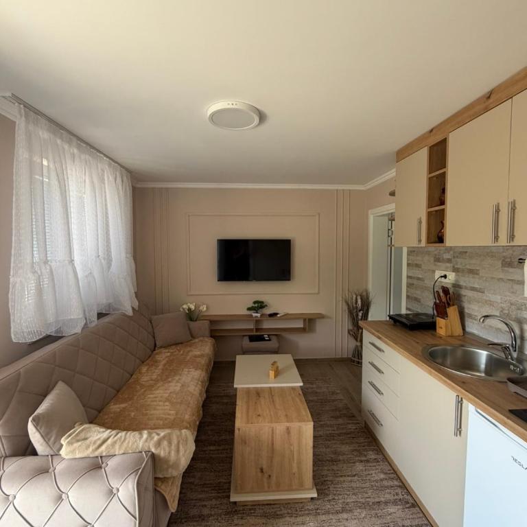 Porodični kutak - Apartman sa 1 Spavaćom Sobom - 5